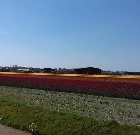 Campsite Tiny House, Amsterdam Aan Zee Heemskerk